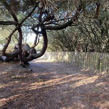 Apartment Vue A 5 Minutes De La *