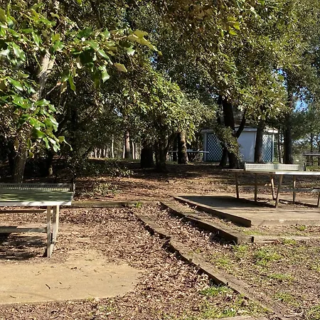 Vue A 5 Minutes De La Apartment Talmont-Saint-Hilaire