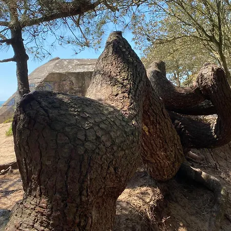 Vue A 5 Minutes De La *